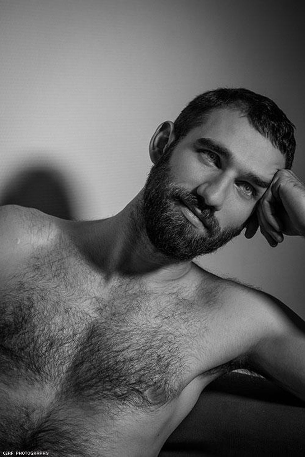 003-cerf-photography