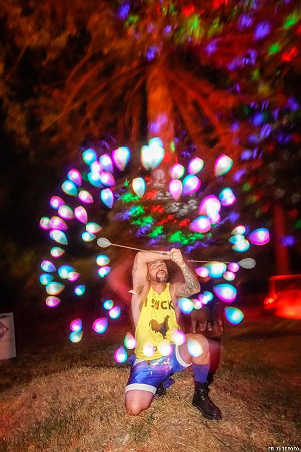 010-lazy-bear-nights-felixiefoto-2018