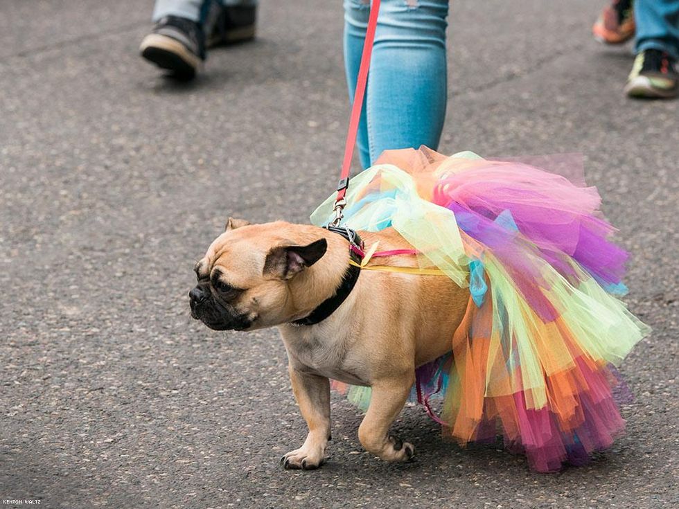 011-portland-pride-2017-kenton-waltz