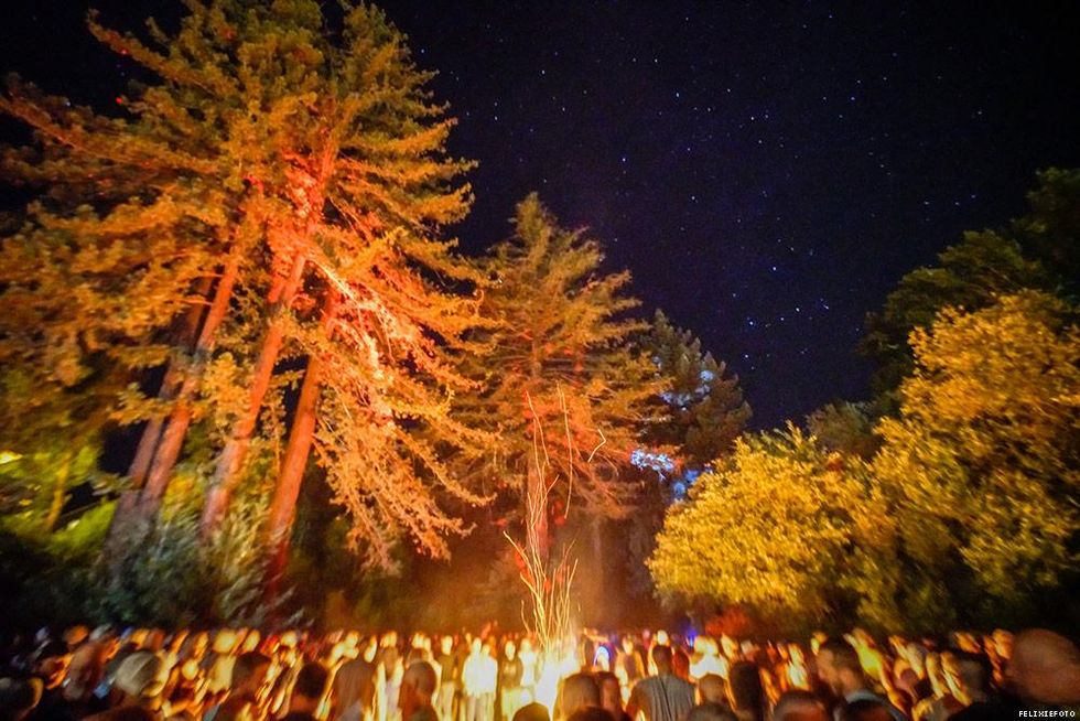 013-lazy-bear-nights-felixiefoto-2018