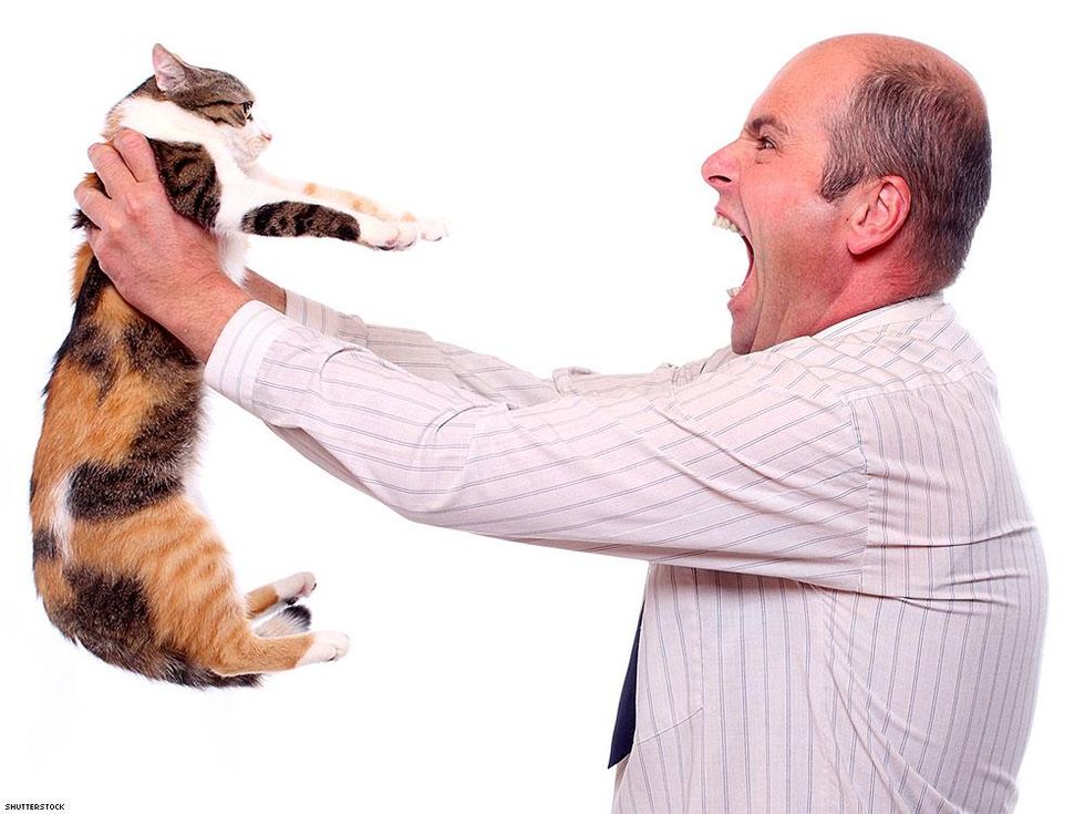 02_shutterstock_54756058