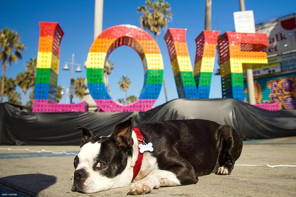 02-venice-pride-adam-fossier-2018