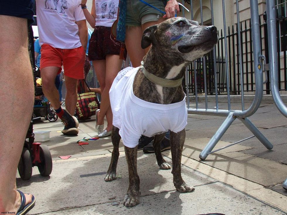 021-london-pride-2017-matt-baume