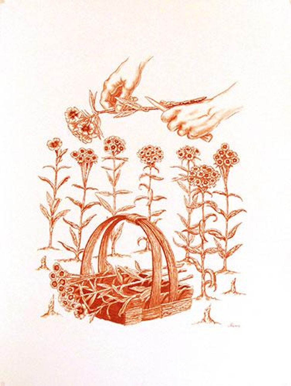 021_sherer-sweetwilliams