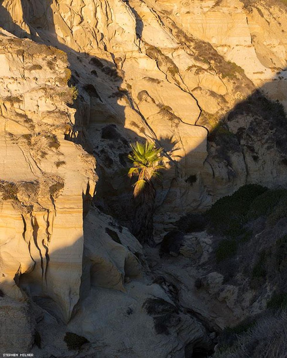 03-stephen-milner-goat-trails-mar-2019