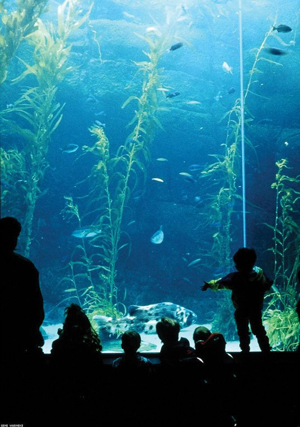 04-gfs-san-diego-x750