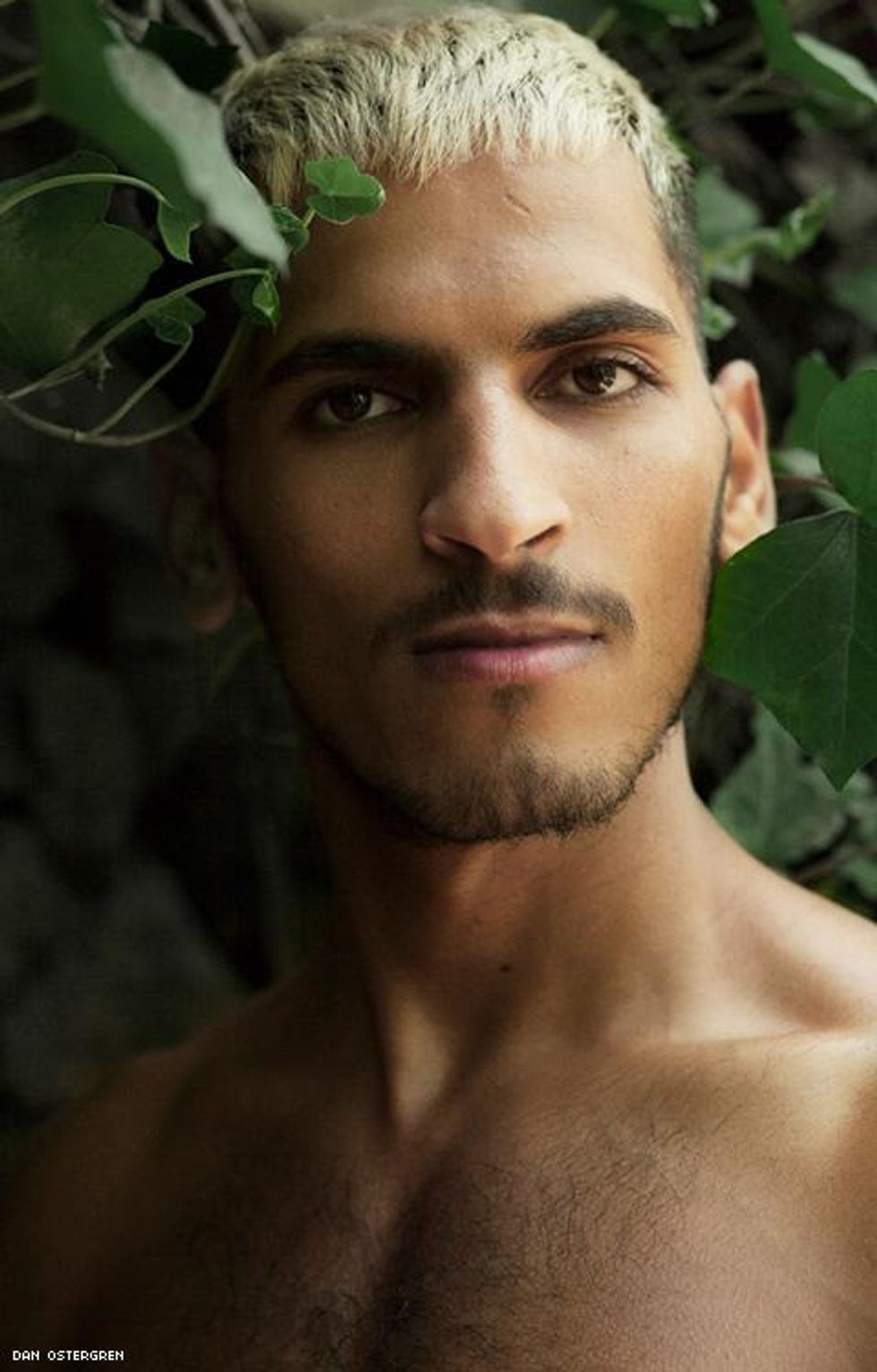 043-dan-ostergren-2019