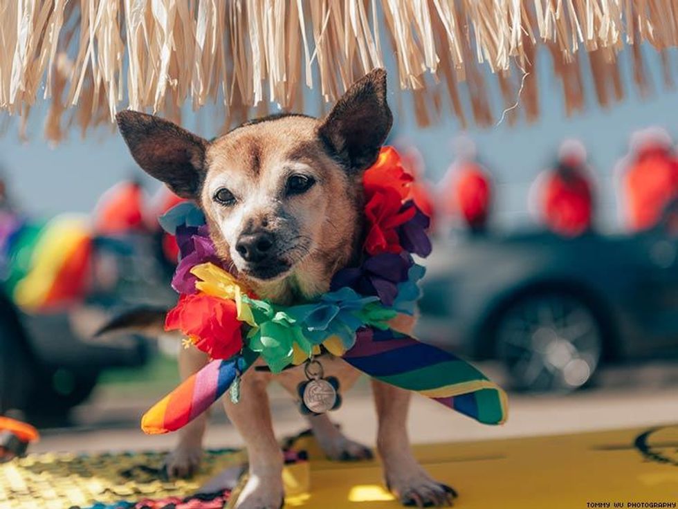 058-long-beach-pride-2016