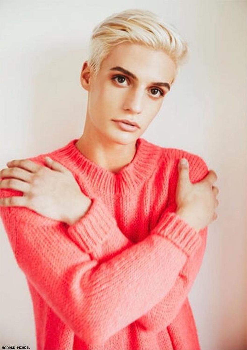 06-harold-mindel-jan-2019