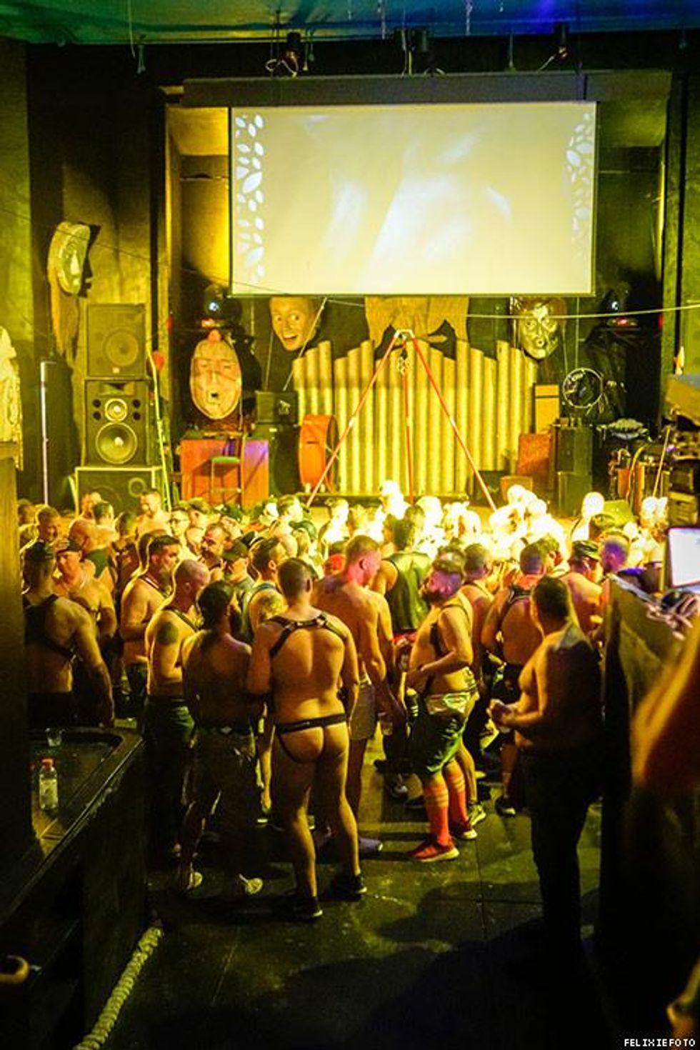 060-lazy-bear-nights-felixiefoto-2018