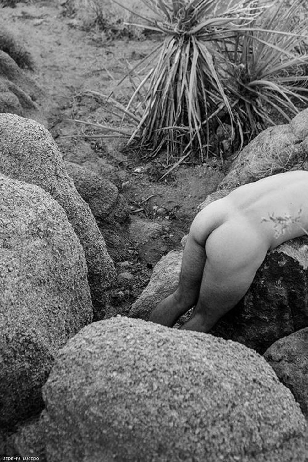 062-starrfucker-jeremy-lucido-2019