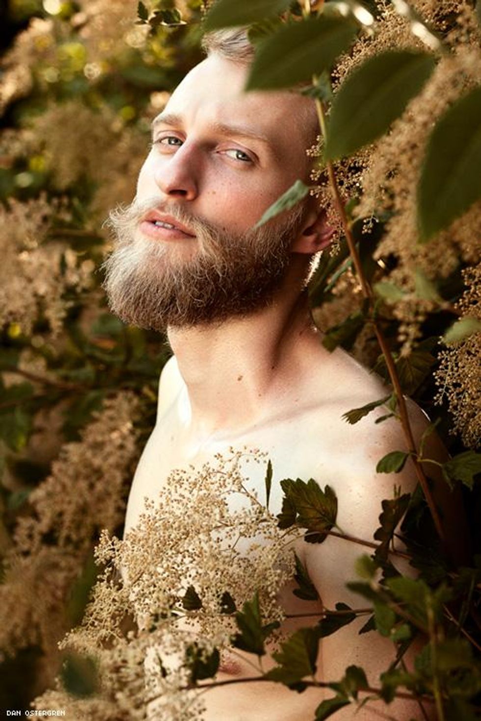 066-dan-ostergren-2019