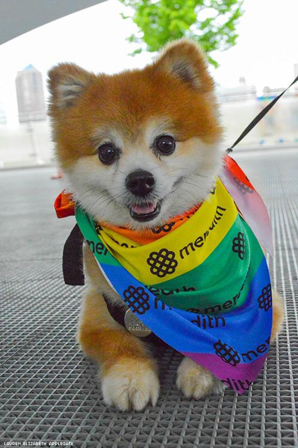 07-des-moines-pride-2018