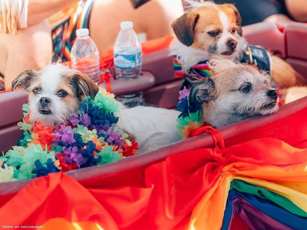 074-long-beach-pride-2016