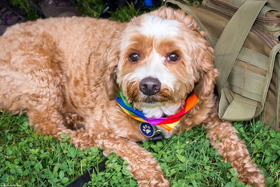 082-hudson_valley-pride-june-2018