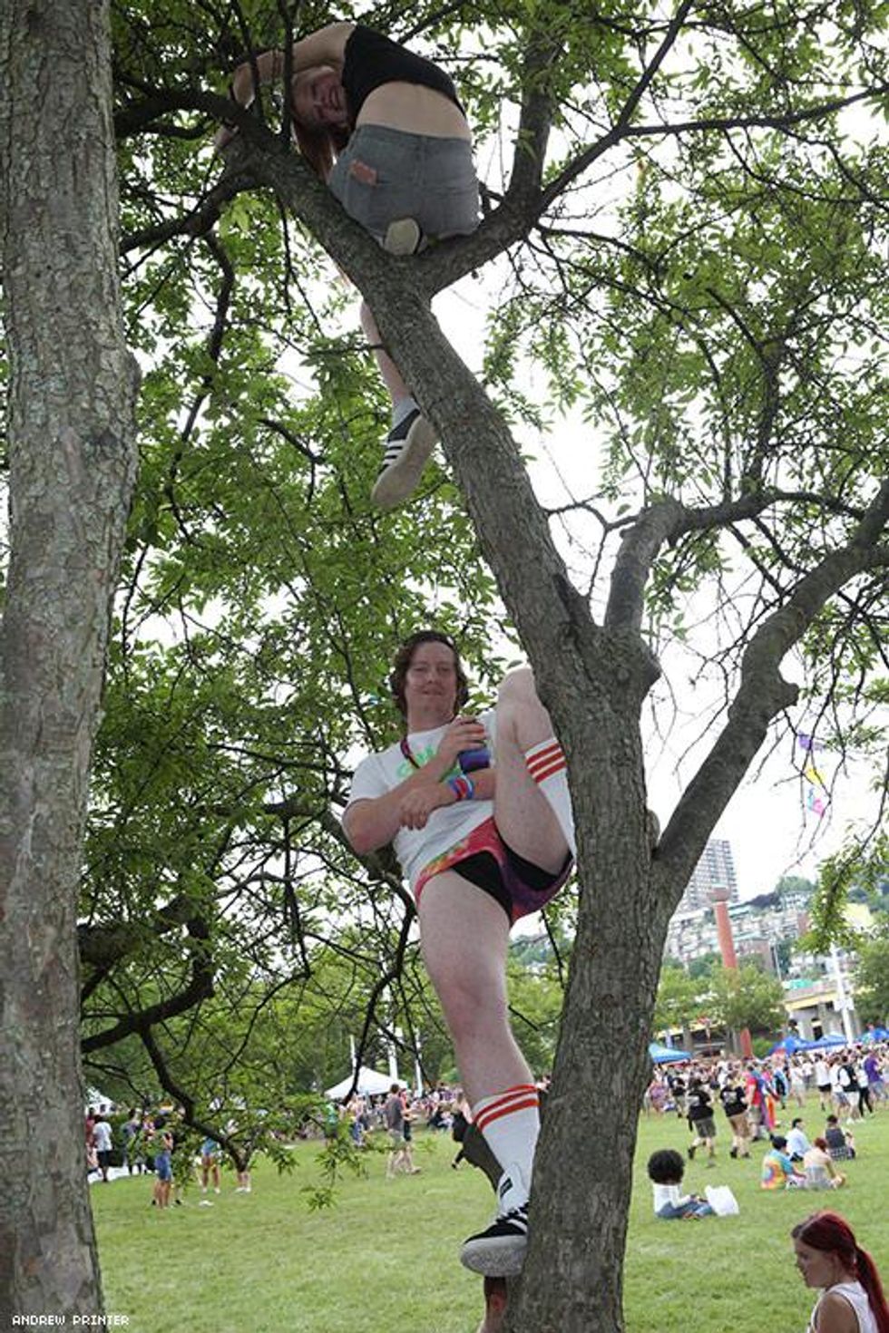 083-cincinnati-pride-andrew-printer