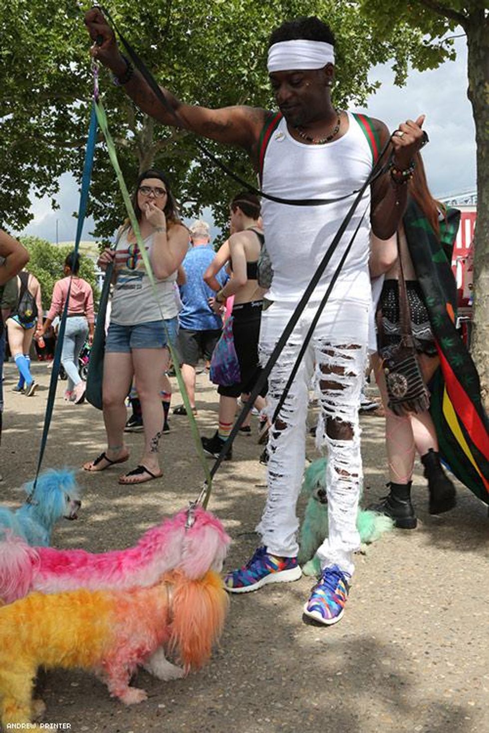 088-cincinnati-pride-andrew-printer