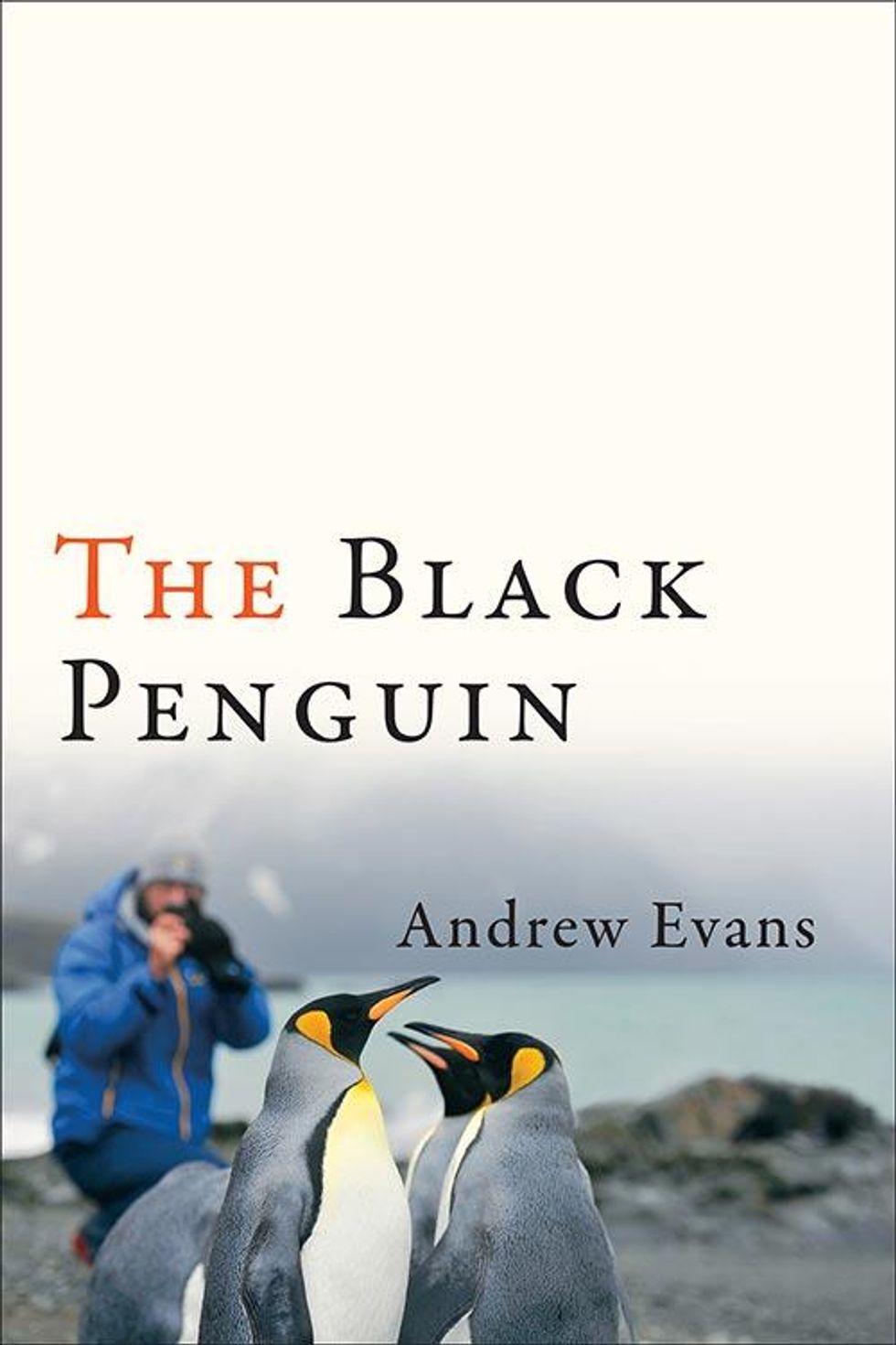 09-the_black_penguin_by_andre_evans