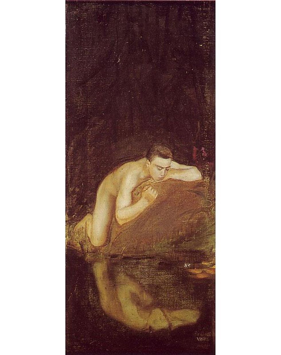 10_narcissus_1896x633