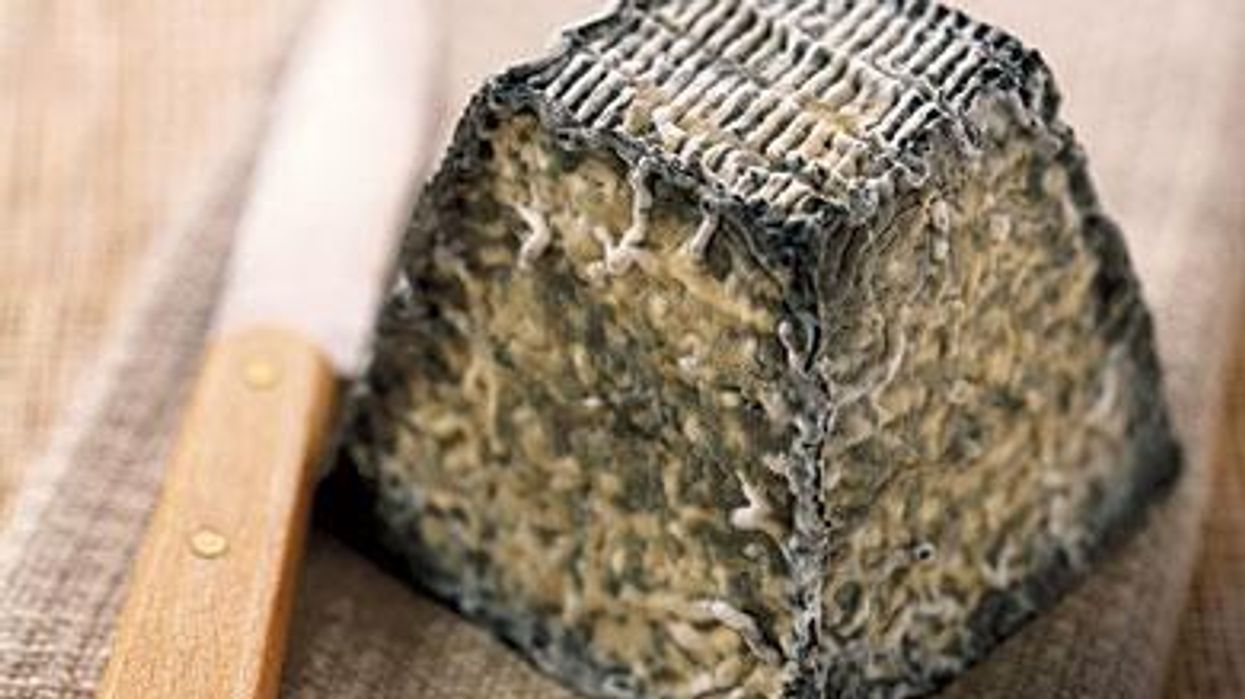 1027_fitnessx390%281%29