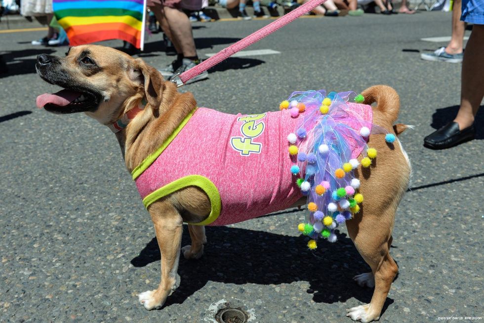 105-portland-pride-robinson-2018