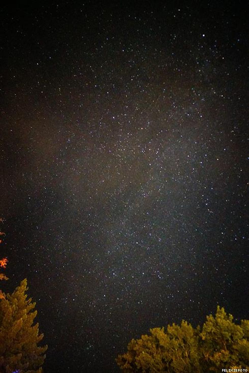 108-lazy-bear-nights-felixiefoto-2018