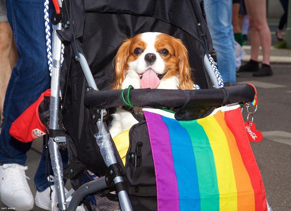 109-berlin-pride-2017-matt-baume