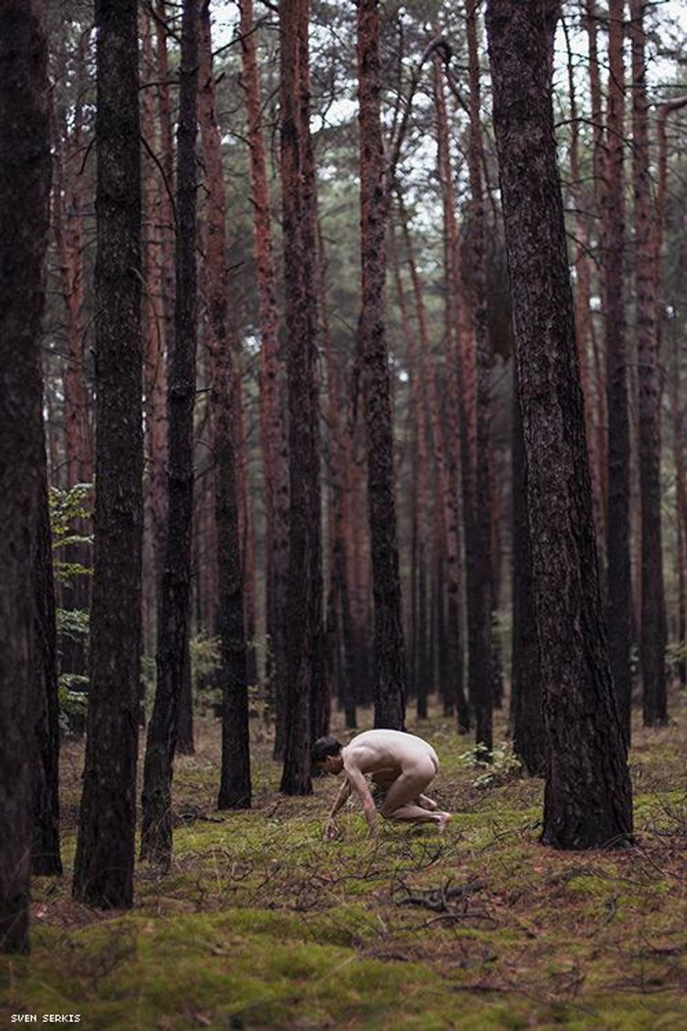 11-sven-serkis-aug-2018