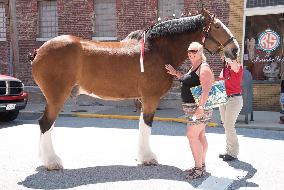 110-metro-east-pride