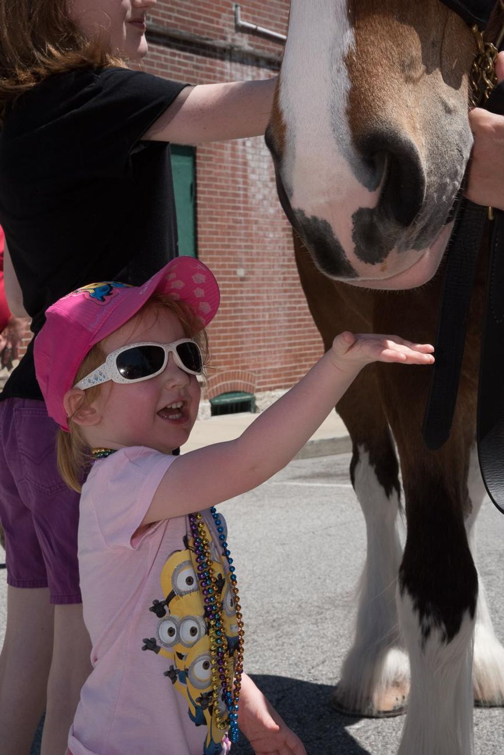 111-metro-east-pride