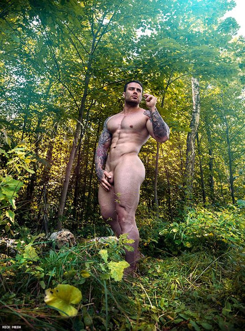 12-morning-wood-nick-mesh-feb-2019