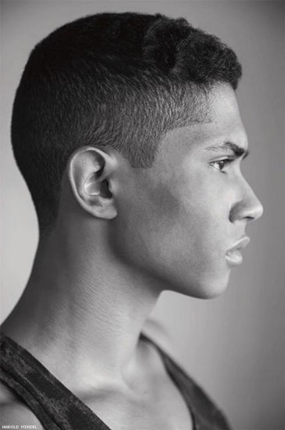 13-harold-mindel-jan-2019