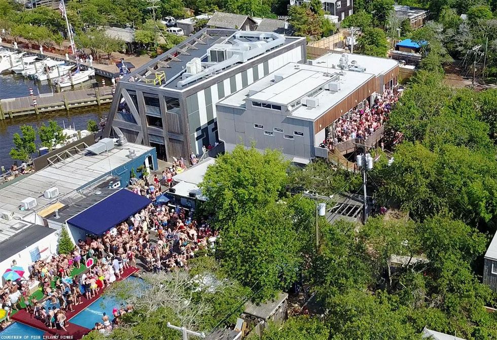 13-invasion-pines-history-2018