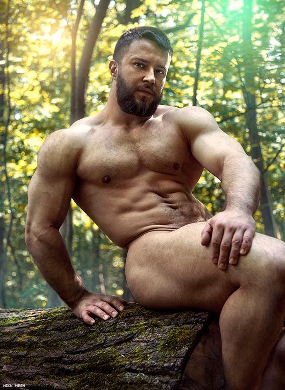13-morning-wood-nick-mesh-feb-2019
