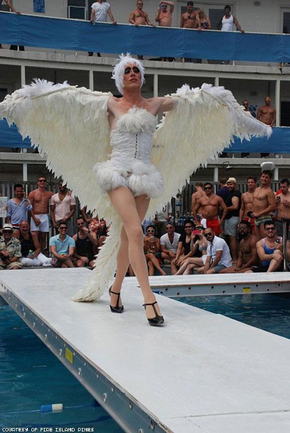 14-invasion-pines-history-2018