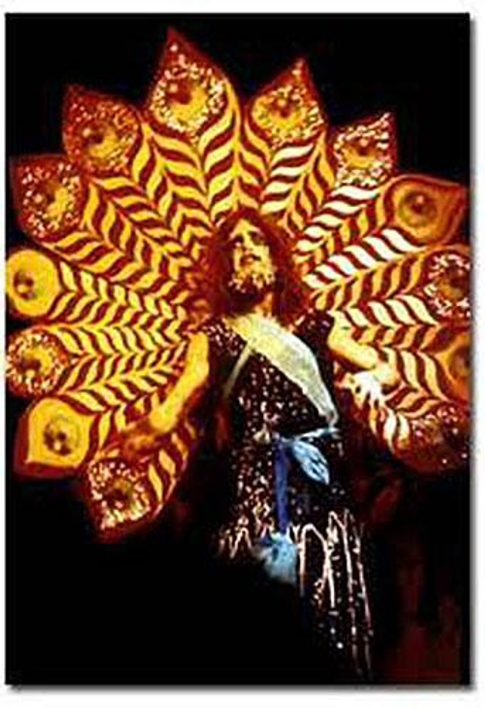 15cockette-hibiscus-in-angels_0