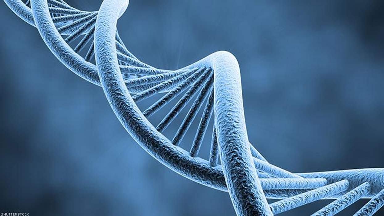 16 Scientific Studies Proving That We're Born This Way