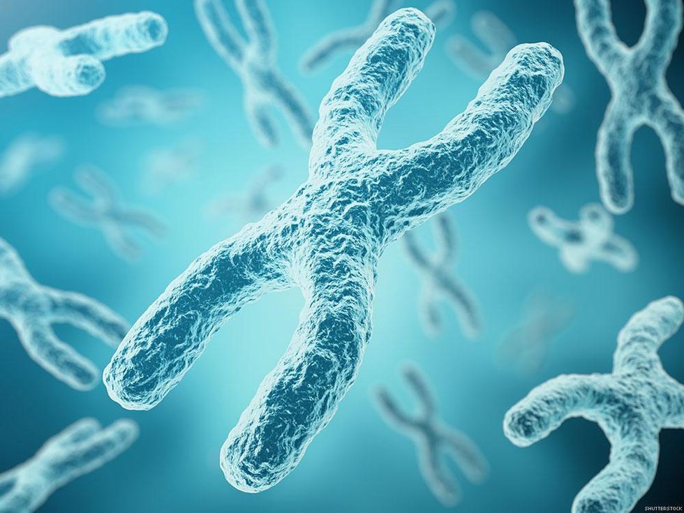 16 Scientific Studies Proving That We're Born This Way