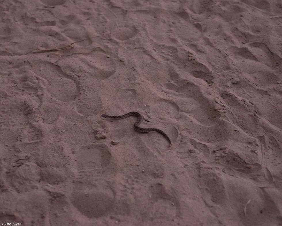 16-stephen-milner-goat-trails-mar-2019