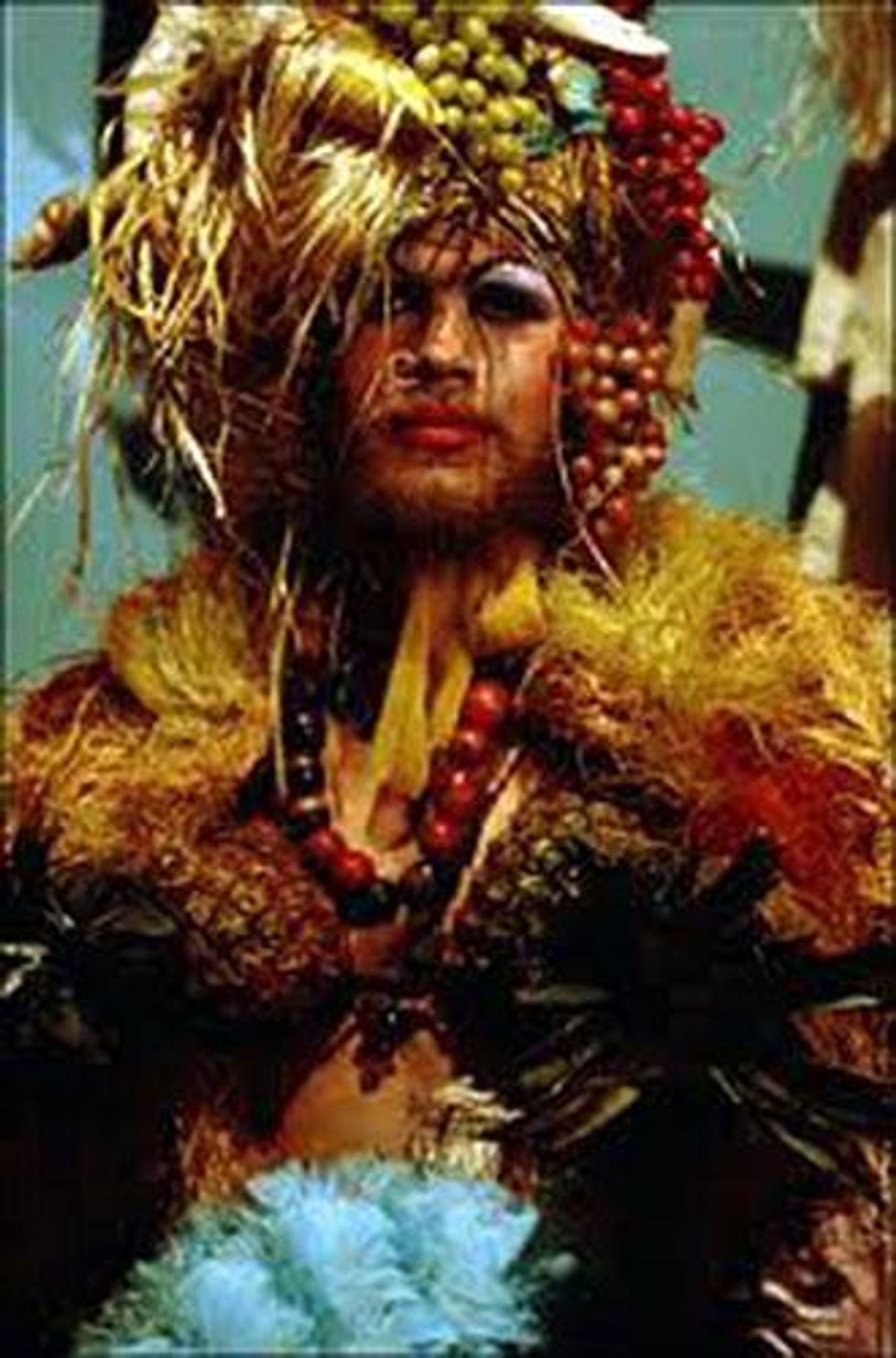 16cockette-hibiscus_0