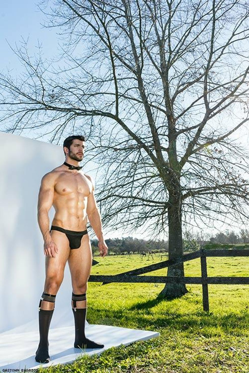 17gastohn-modus-vivendi-country-14