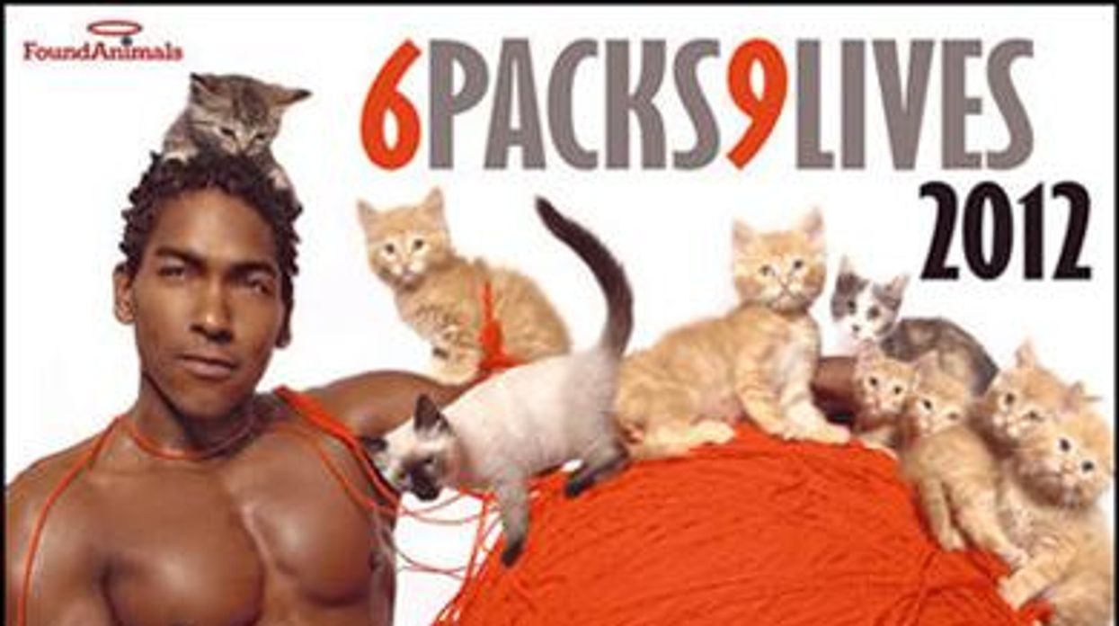 1cal_6pack