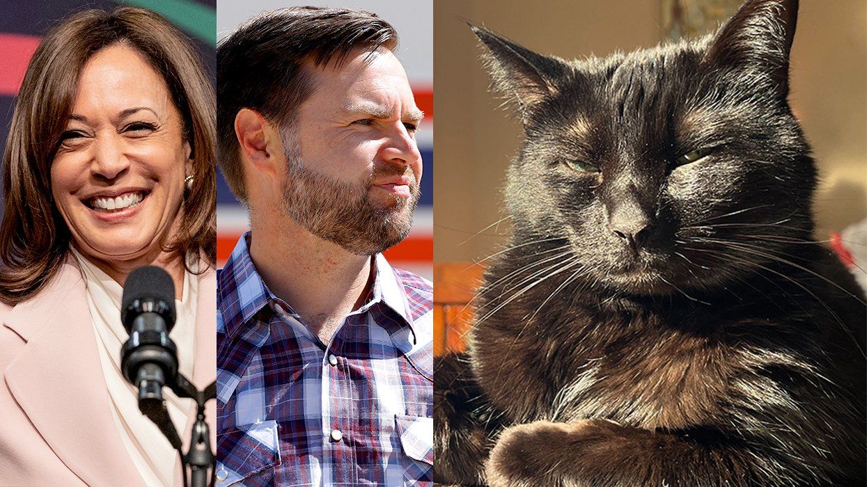 Cat Ladies for Kamala Harris' are campaigning AND shading JD Vance