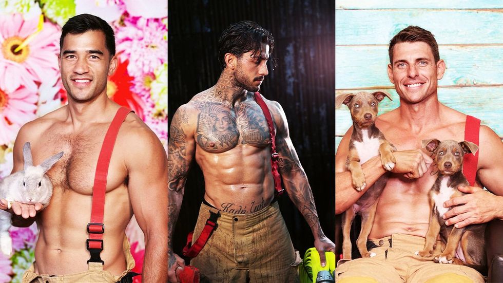 2025 Australian Firefighter Calendar sexy shirtless men with cute animals wearing uniforms