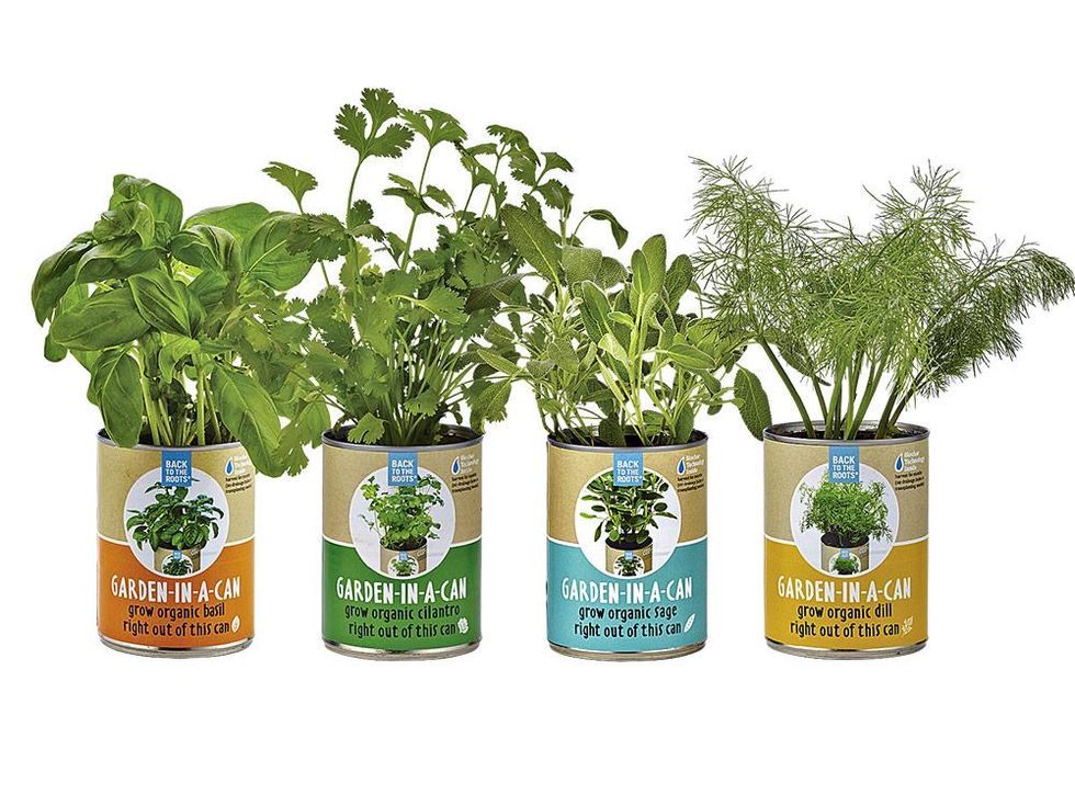 21. DO make new friends.