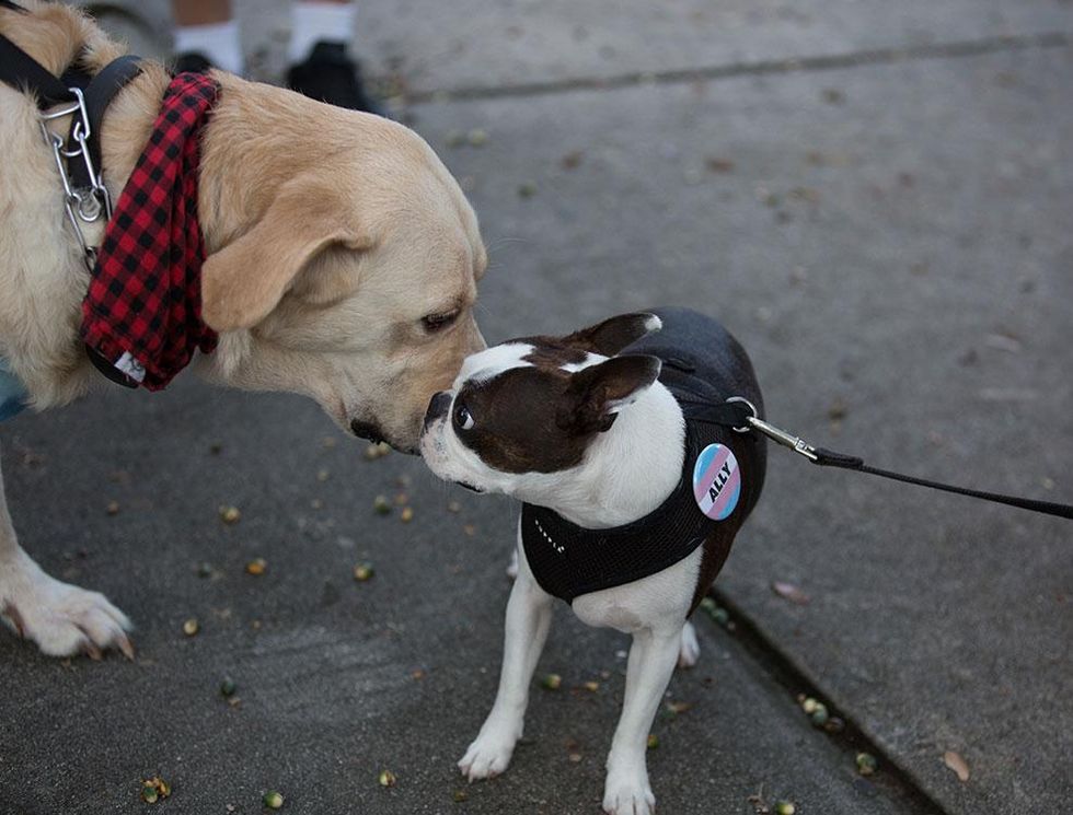 25-charleston-pride-colin-j-johnson-2017