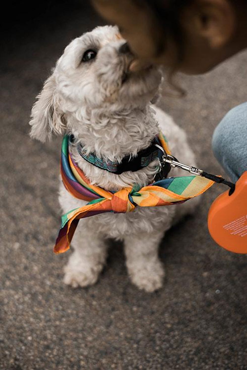 25-twin_-cities-pride-2017-kayla-koterwski