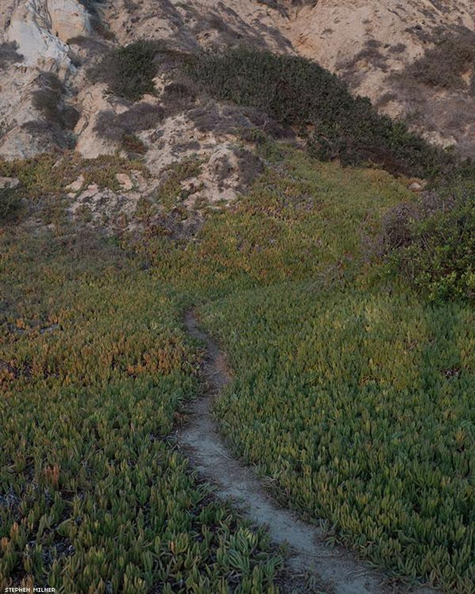 28-stephen-milner-goat-trails-mar-2019