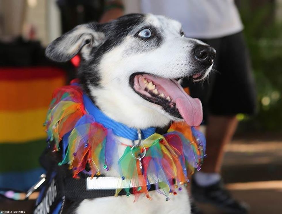 31-key-west-pride-2016