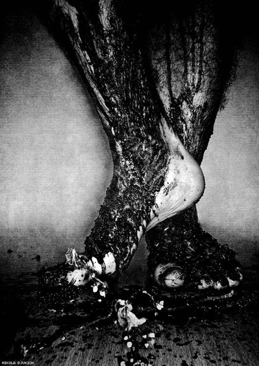 34-nikola-djukich-2018